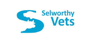 Selworthy Vets