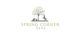 Spring Corner Vet